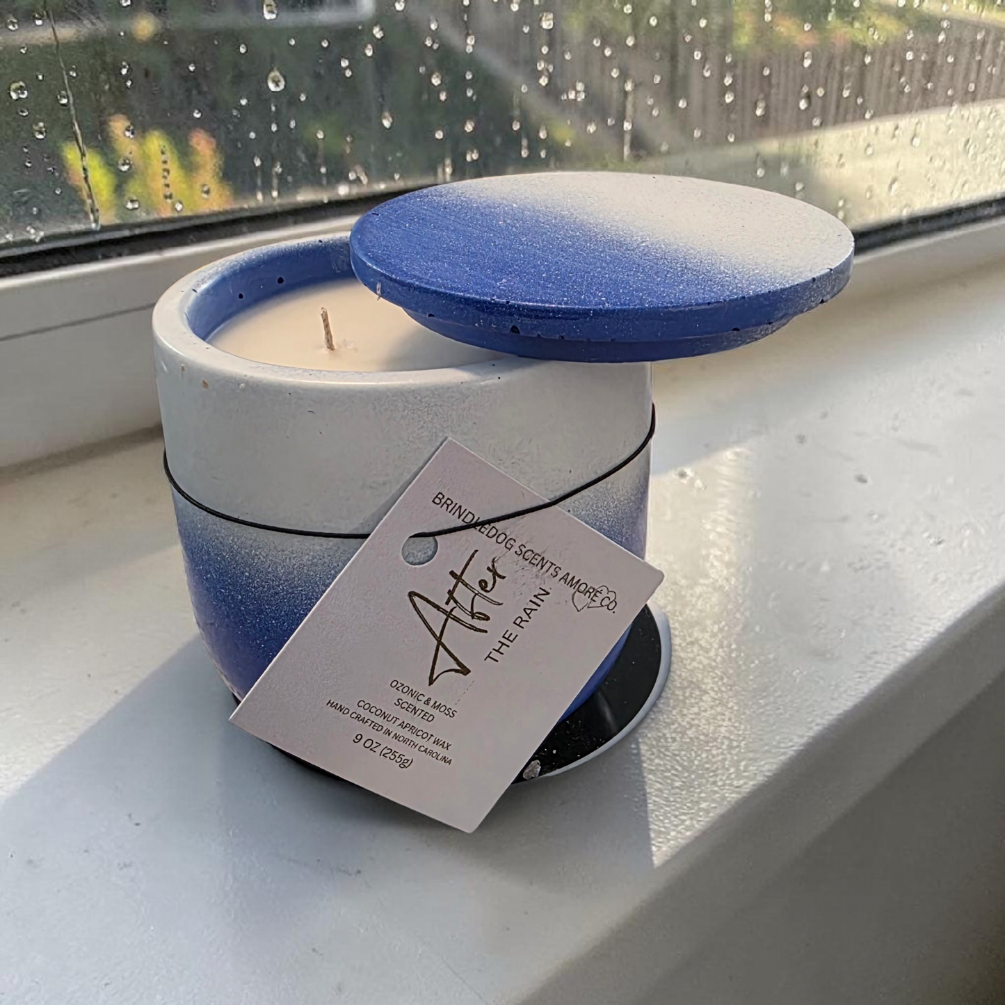 After The Rain Ozonic & Moss Luxury Candle – 9 oz Double Wick Cement Jar | Celestial Series Artisan Candle