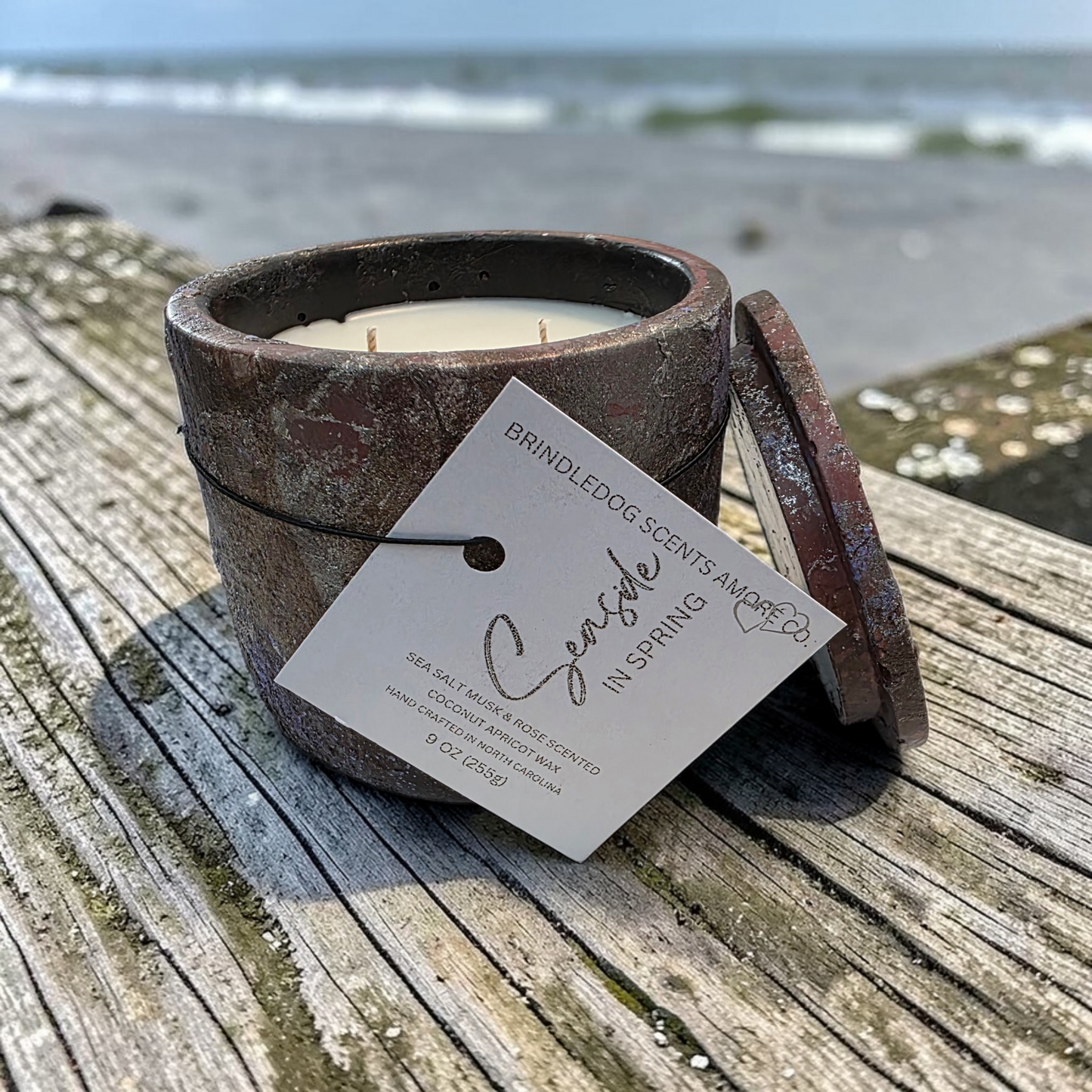 Seaside In Spring Sea Salt Musk & Rose Luxury Candle – 9 oz Double Wick Cement Jar | Throwing Copper Series Artisan Candle