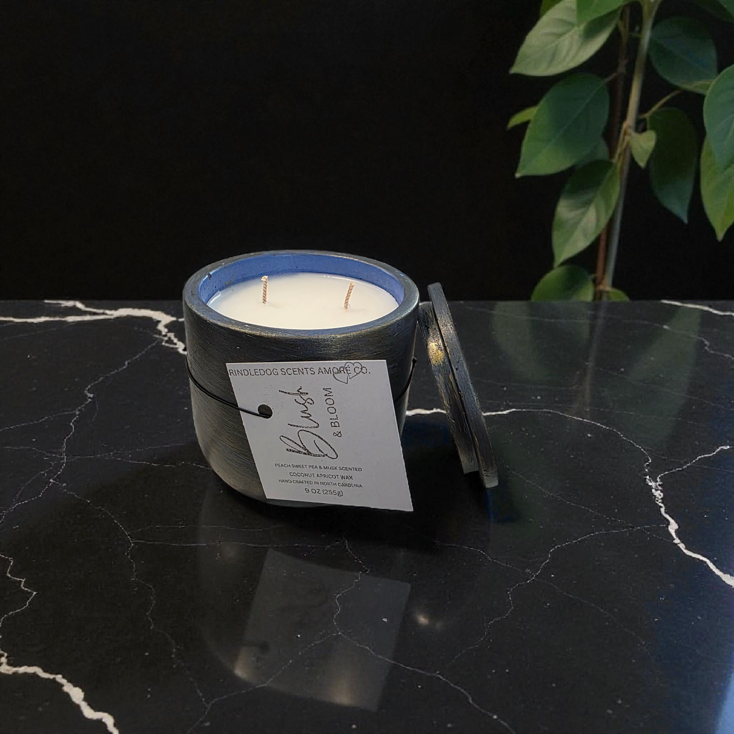 Blush & Bloom 9 oz Peach Sweet Pea & Musk Scented-Celestial Series Cement Candle