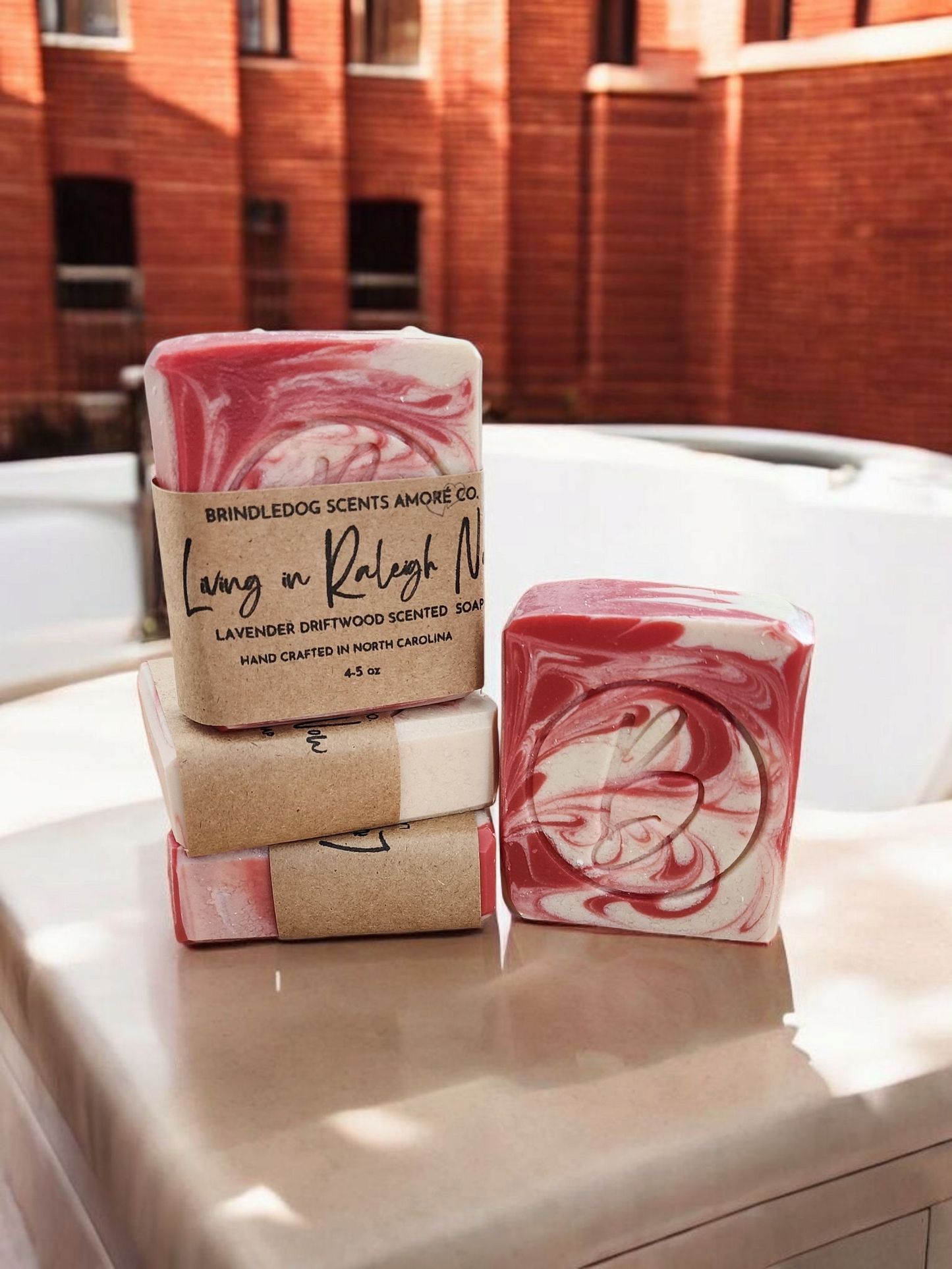 Living In Raleigh Now- Carolina Series Soap Bar 4-5 oz