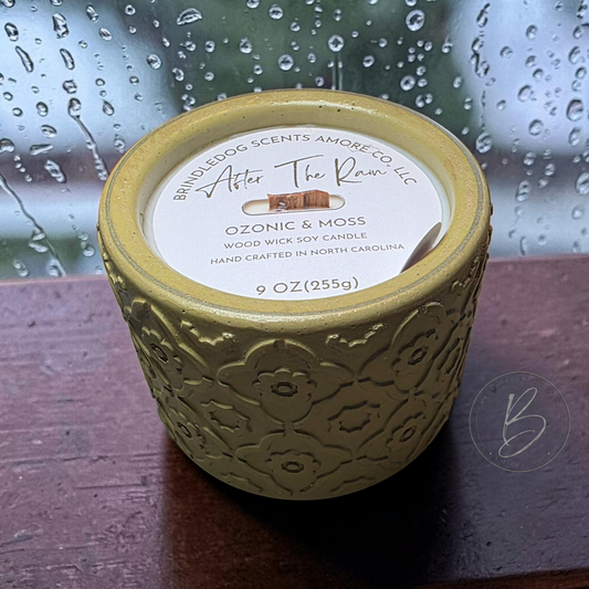 After The Rain 9 oz Ozonic & Moss Scented-Wood Wick Series
