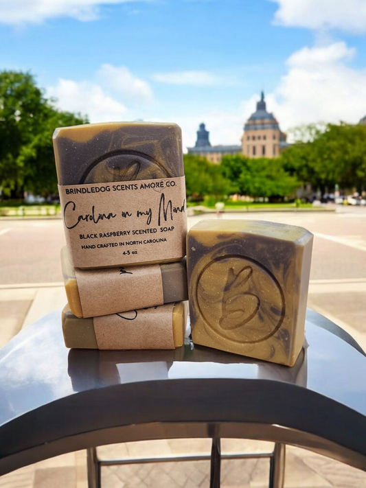 Carolina In My Mind -Carolina Series Soap Bar 4-5 oz