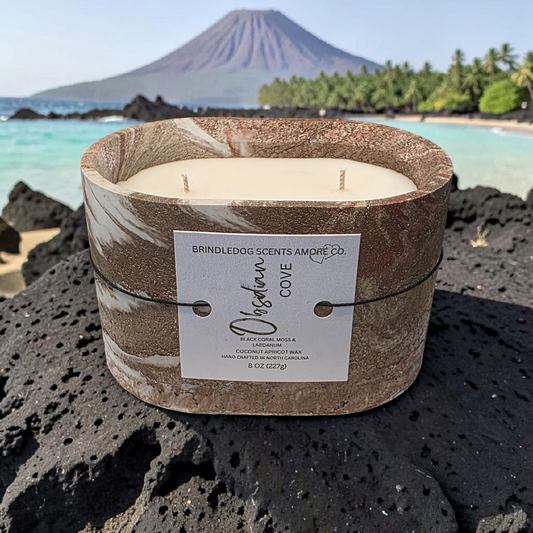 Obsidian Cove 8 oz Black Coral Moss & Labdanum Scented-Oval Elements Series