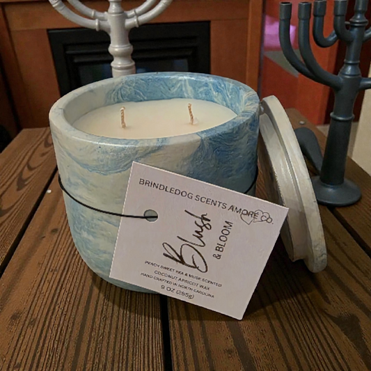 Blush & Bloom 9 oz Peach Sweet Pea & Musk Scented-Celestial Series Cement Candle