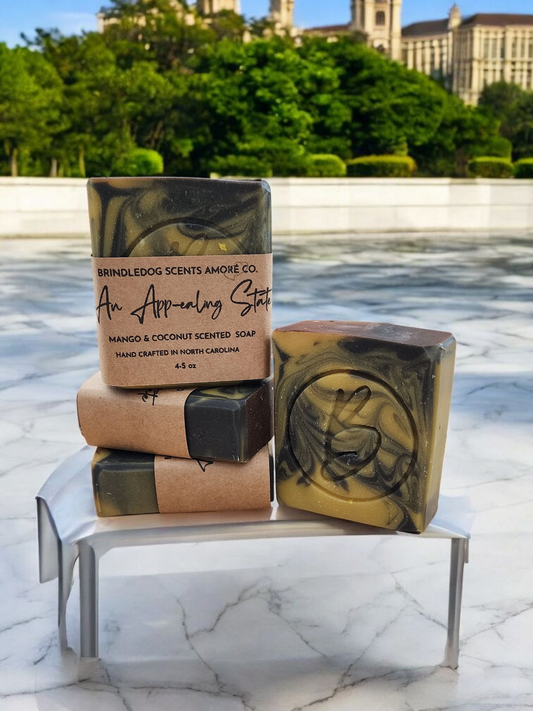 An App-pealing State- Carolina Series Soap Bar 4-5 oz